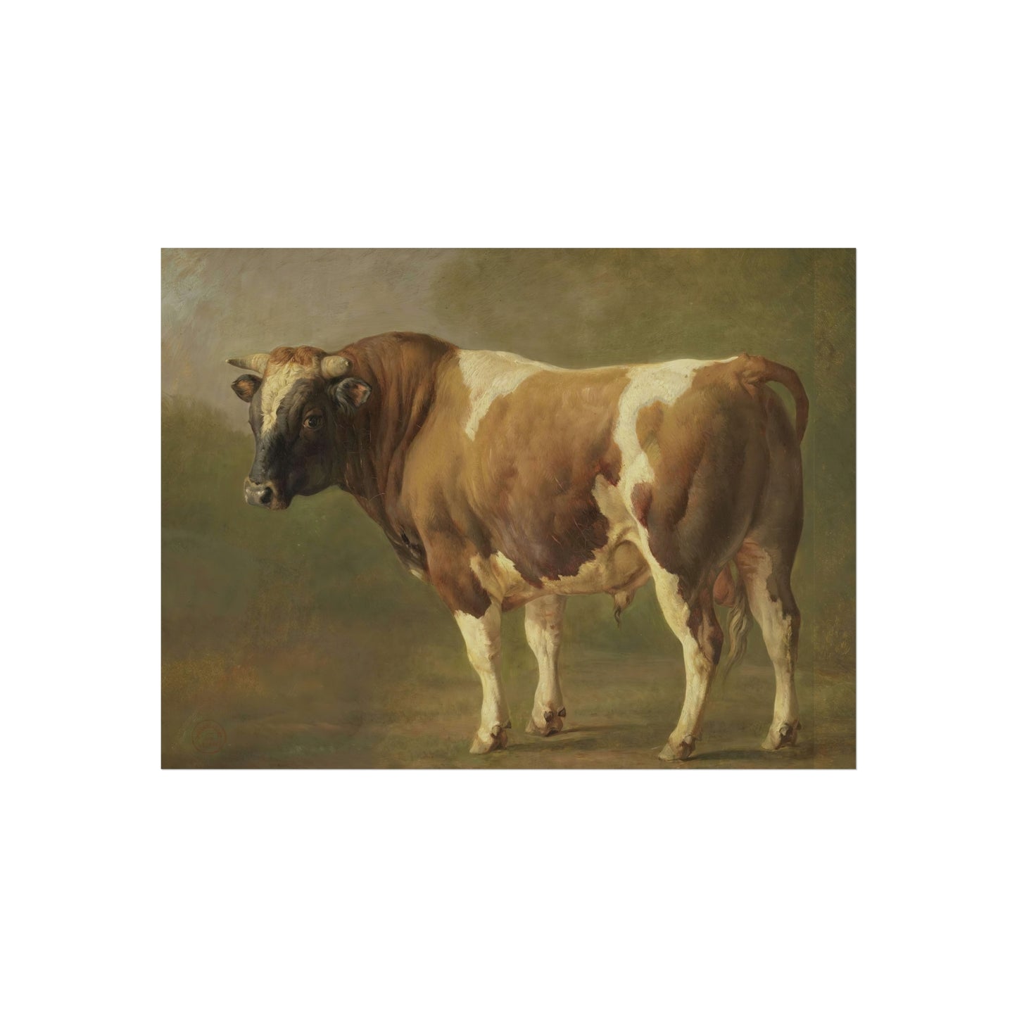 Study of a Bull, Standing to the Left