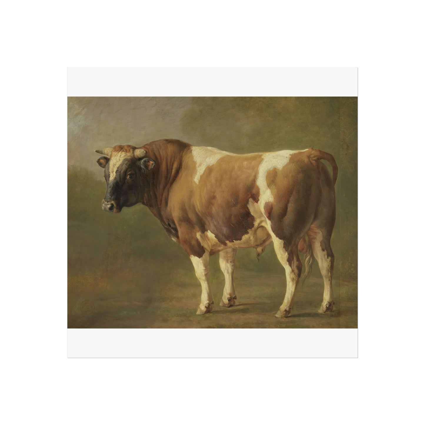 Study of a Bull, Standing to the Left
