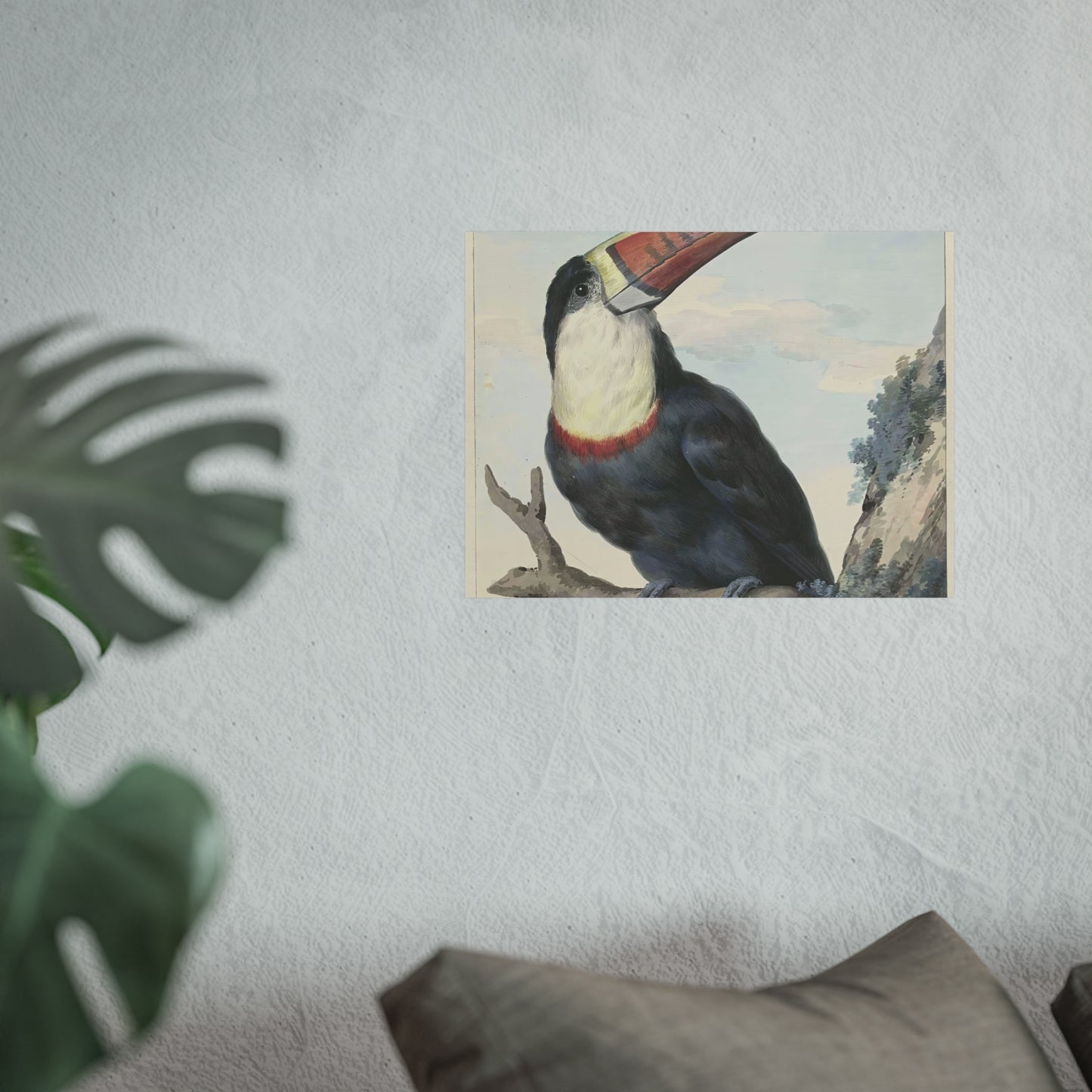 Red-billed Toucan by Aert Schouman