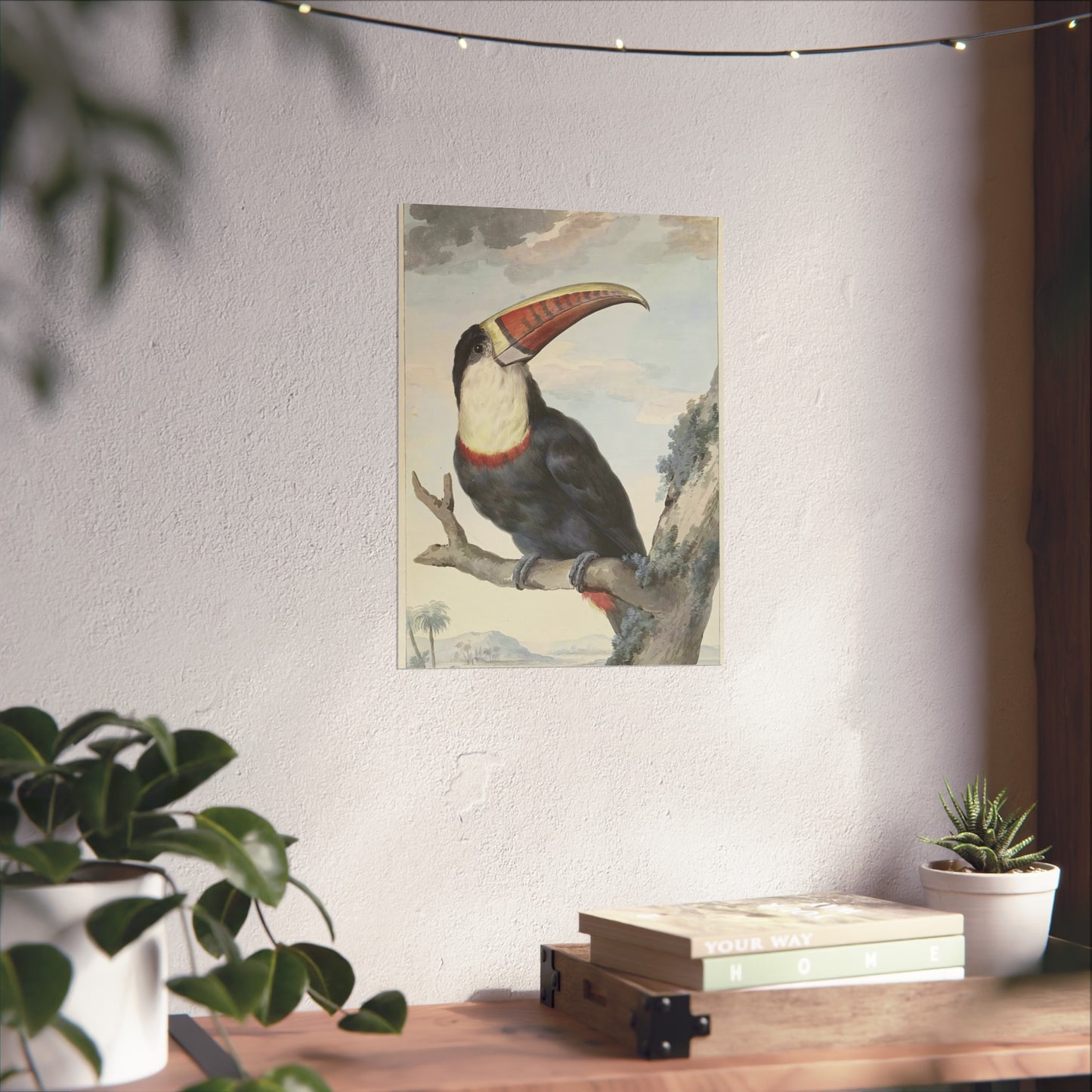 Red-billed Toucan by Aert Schouman