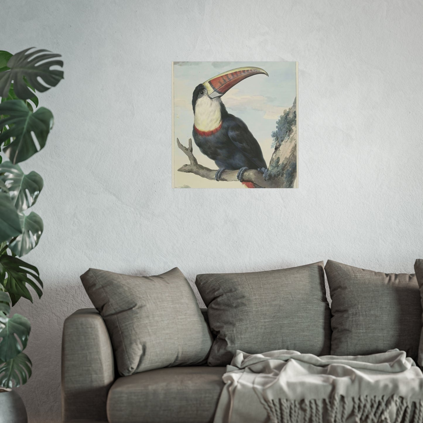 Red-billed Toucan by Aert Schouman