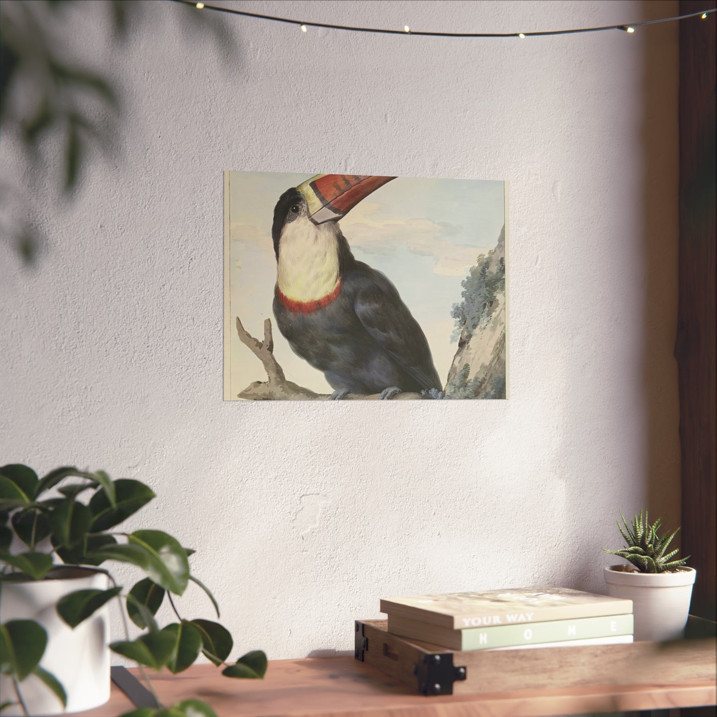 Red-billed Toucan by Aert Schouman