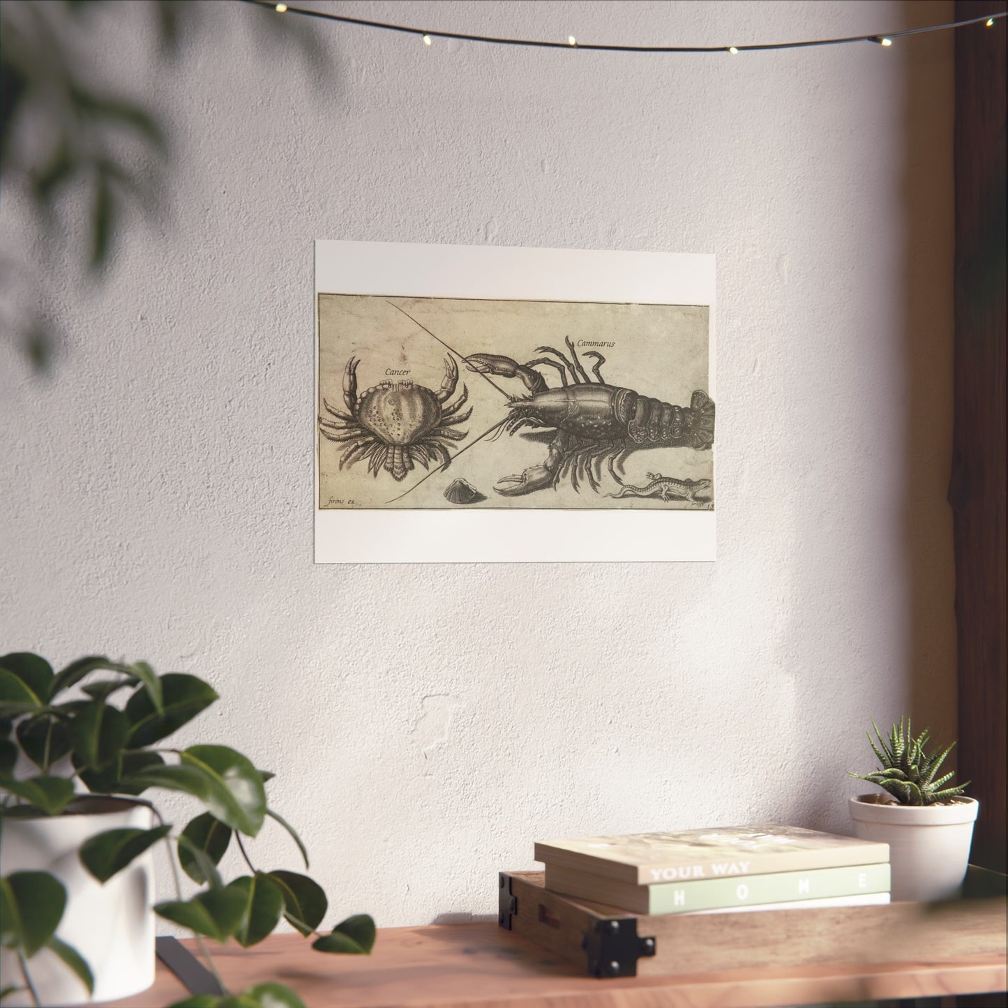 Lobster, Crab, Salamander, and Shell