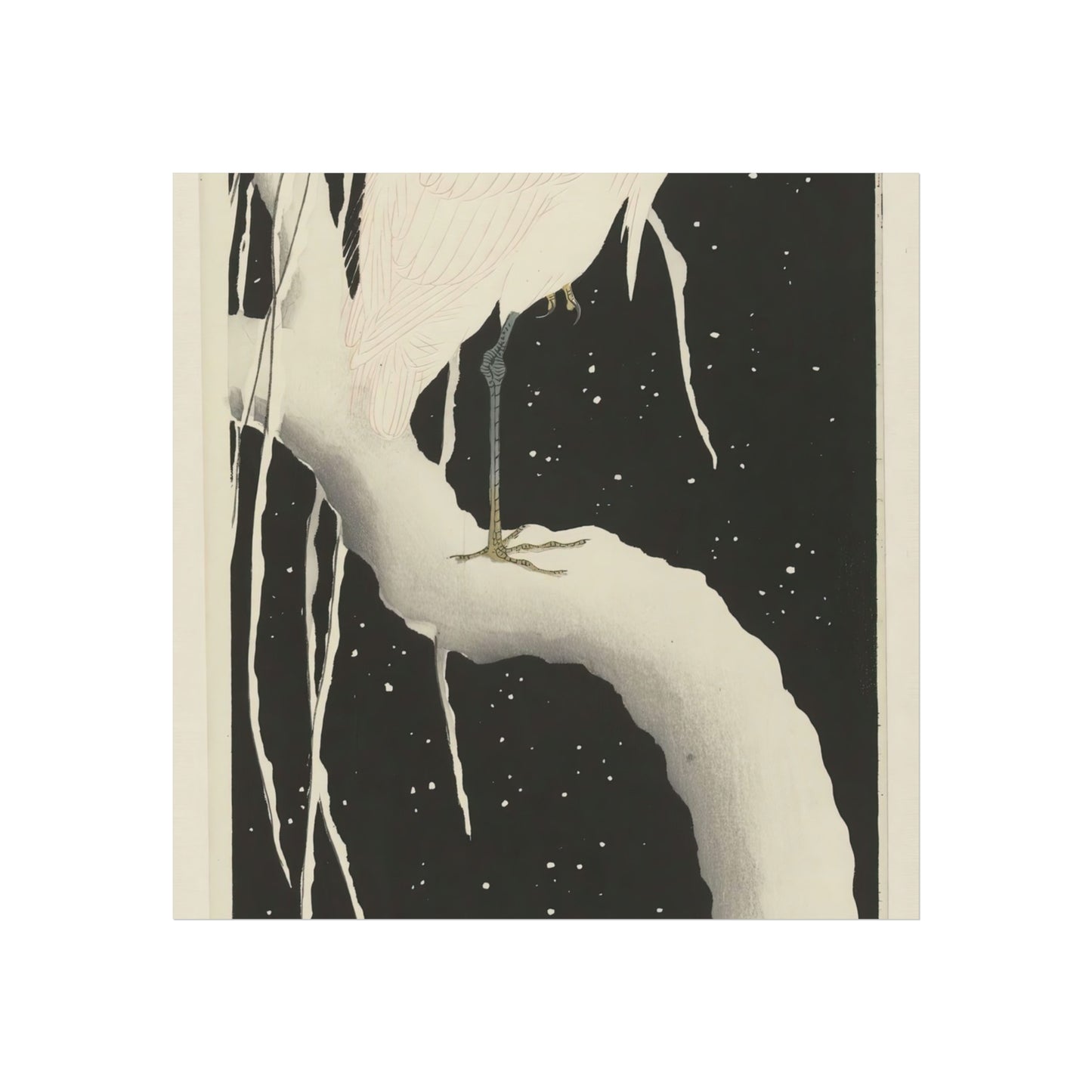 Heron on Snowy Branch at Night