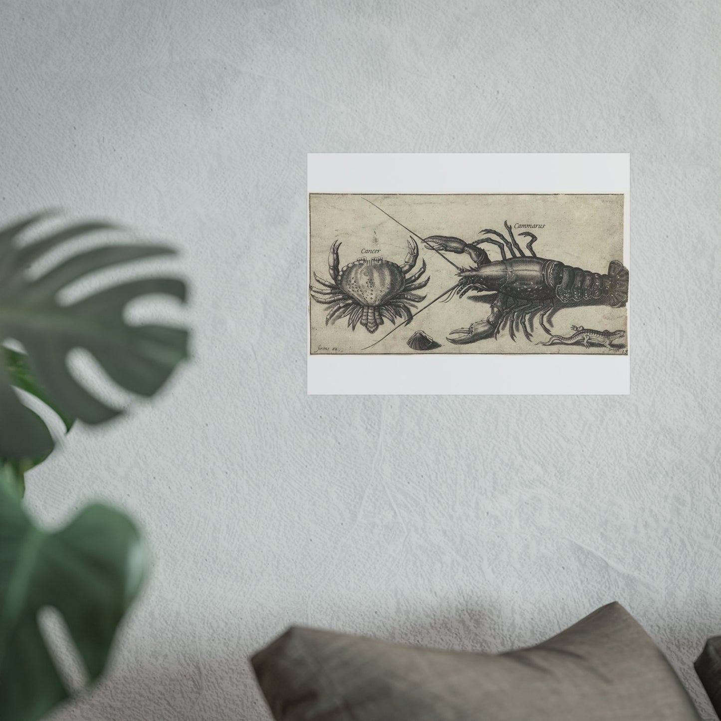 Lobster, Crab, Salamander, and Shell