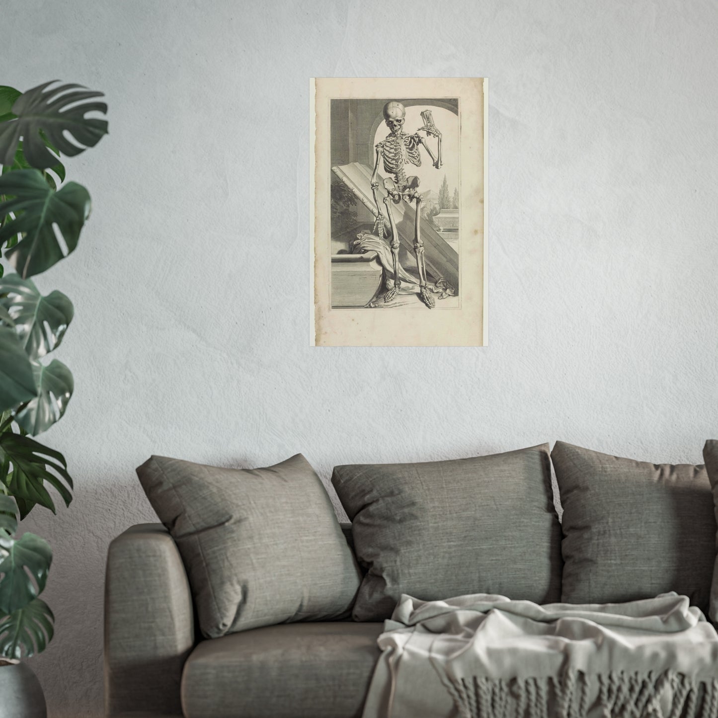 Anatomical Model of a Human Skeleton