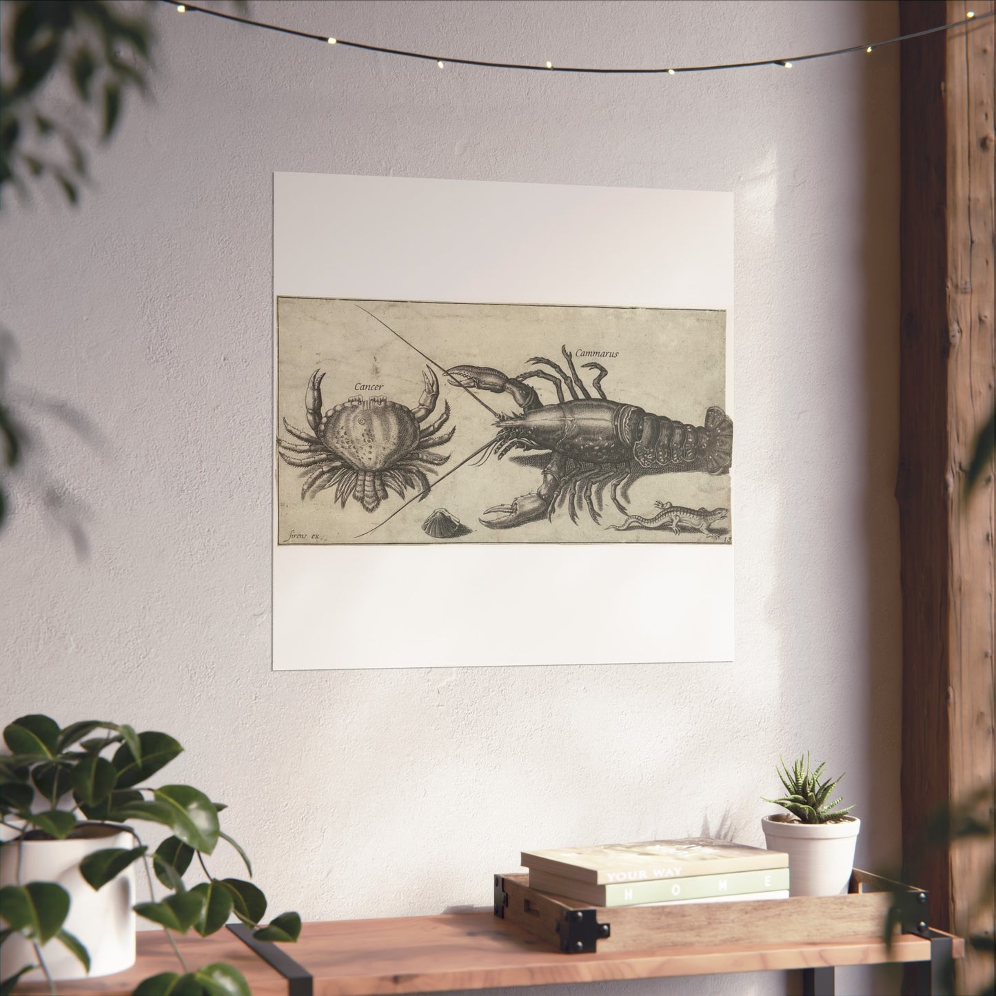 Lobster, Crab, Salamander, and Shell