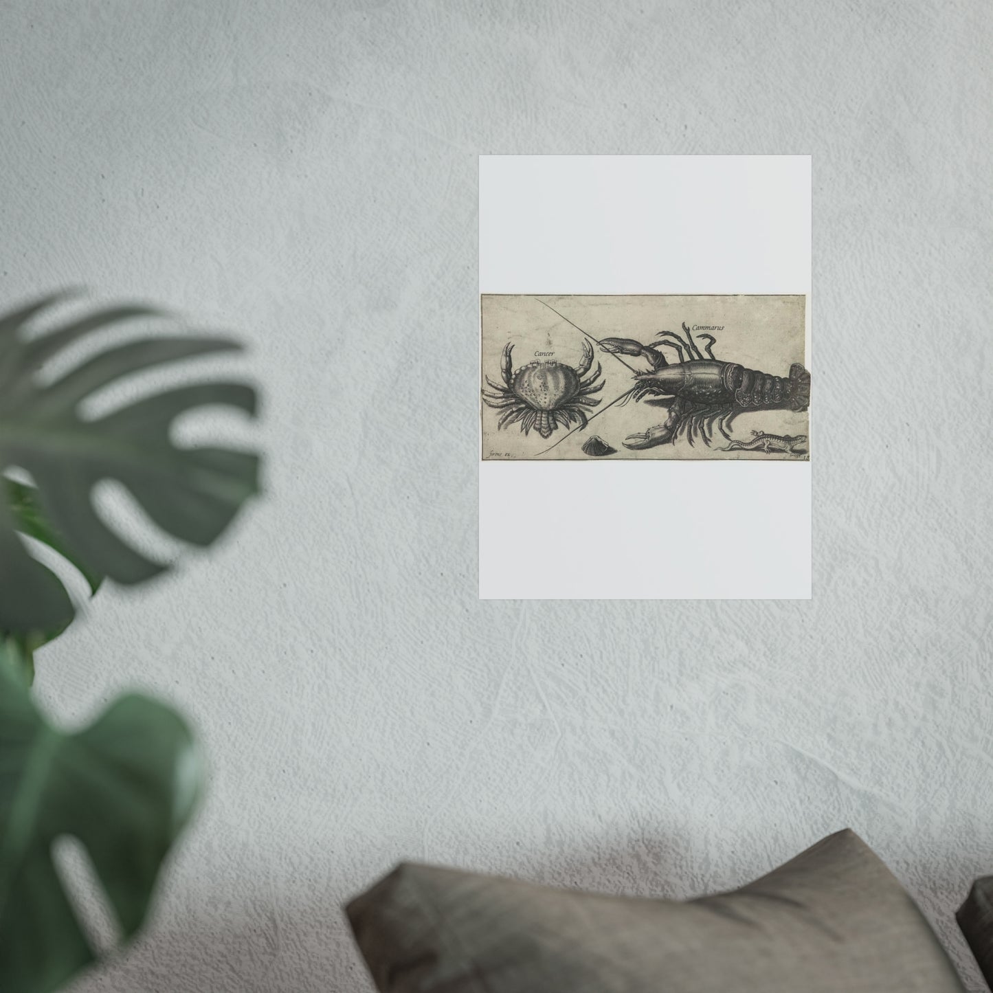 Lobster, Crab, Salamander, and Shell