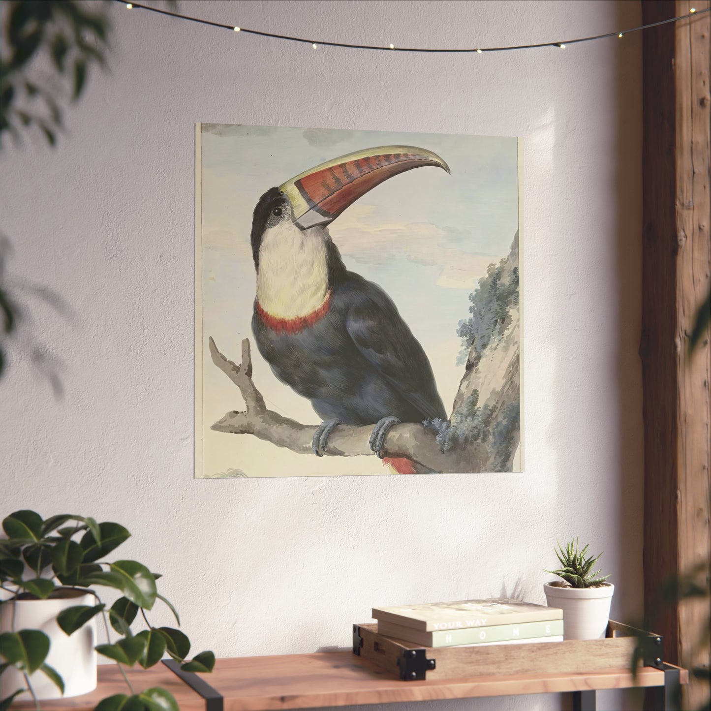 Red-billed Toucan by Aert Schouman