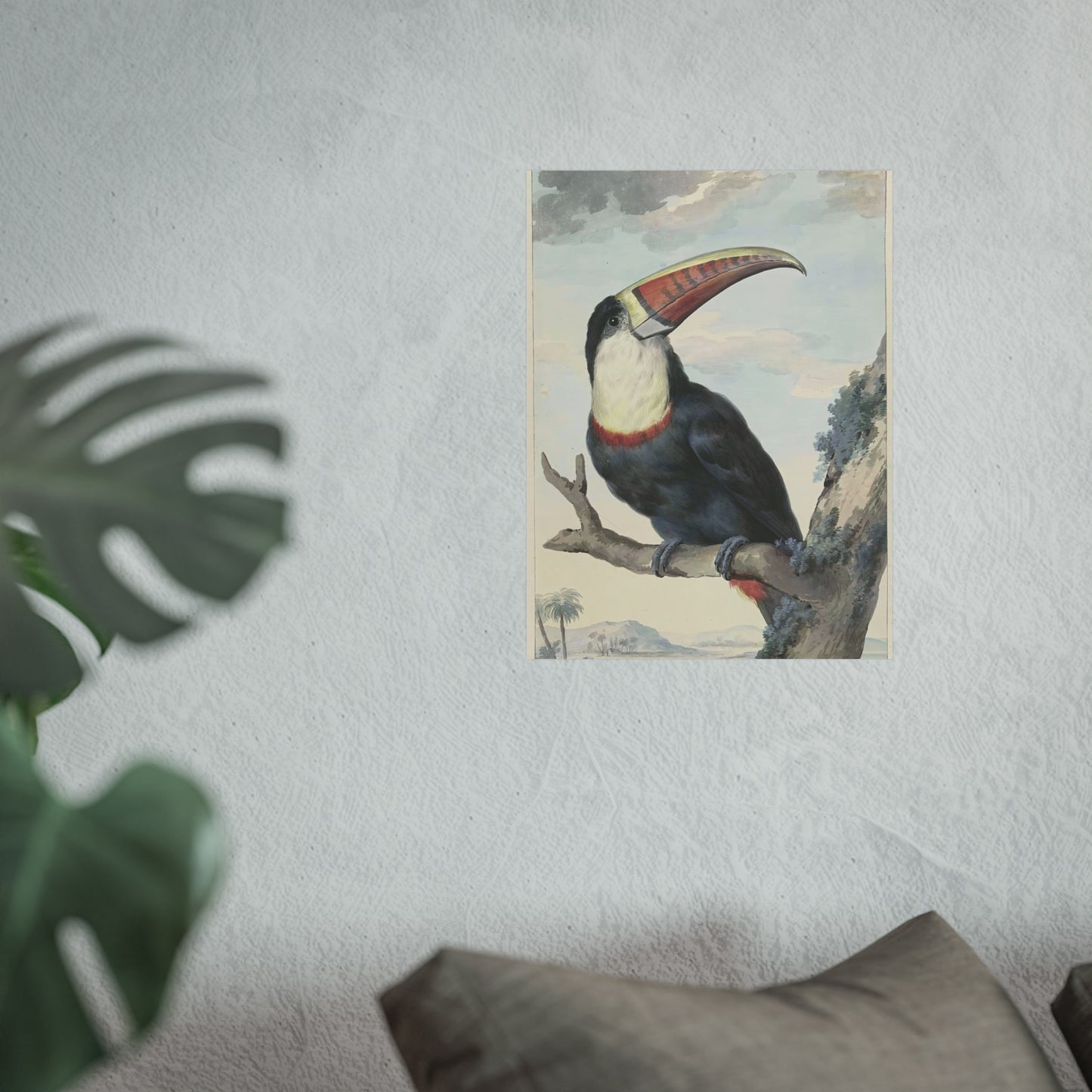 Red-billed Toucan by Aert Schouman