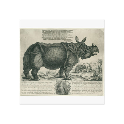 The Rhinoceros Clara - A Scene from Assam, 1741