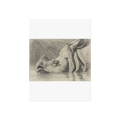 Head of a Rhinoceros, Half Submerged in Water