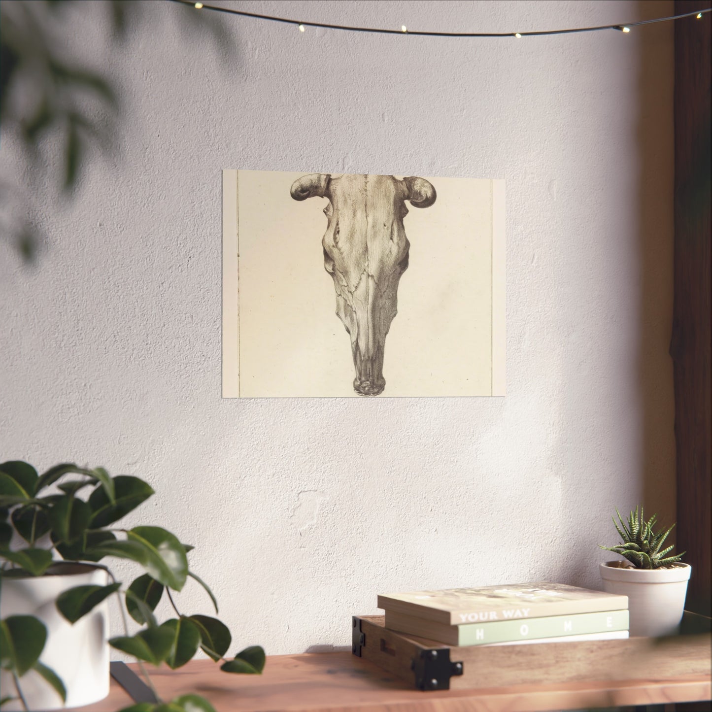 Cow Skull Viewed from Above