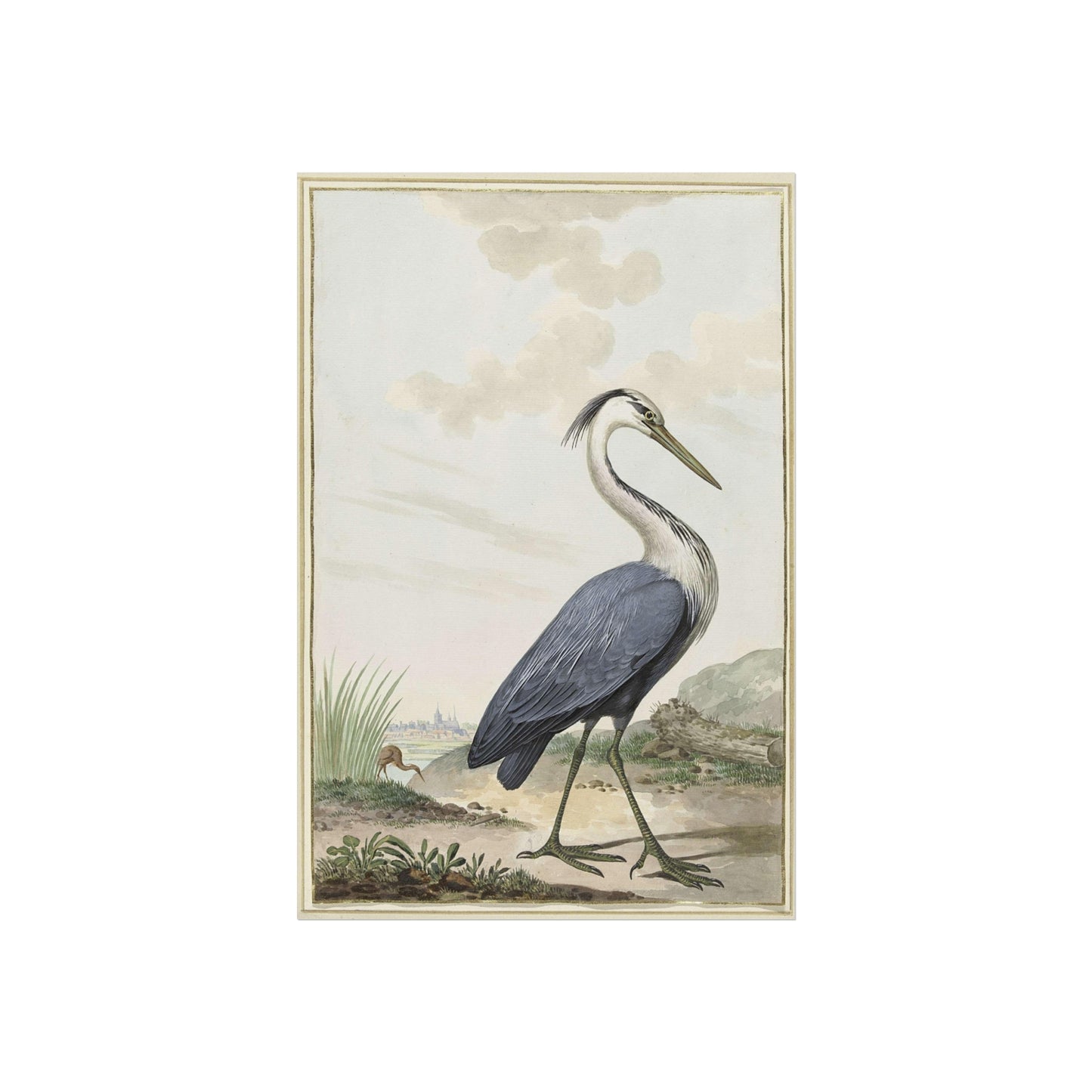 Blue Heron