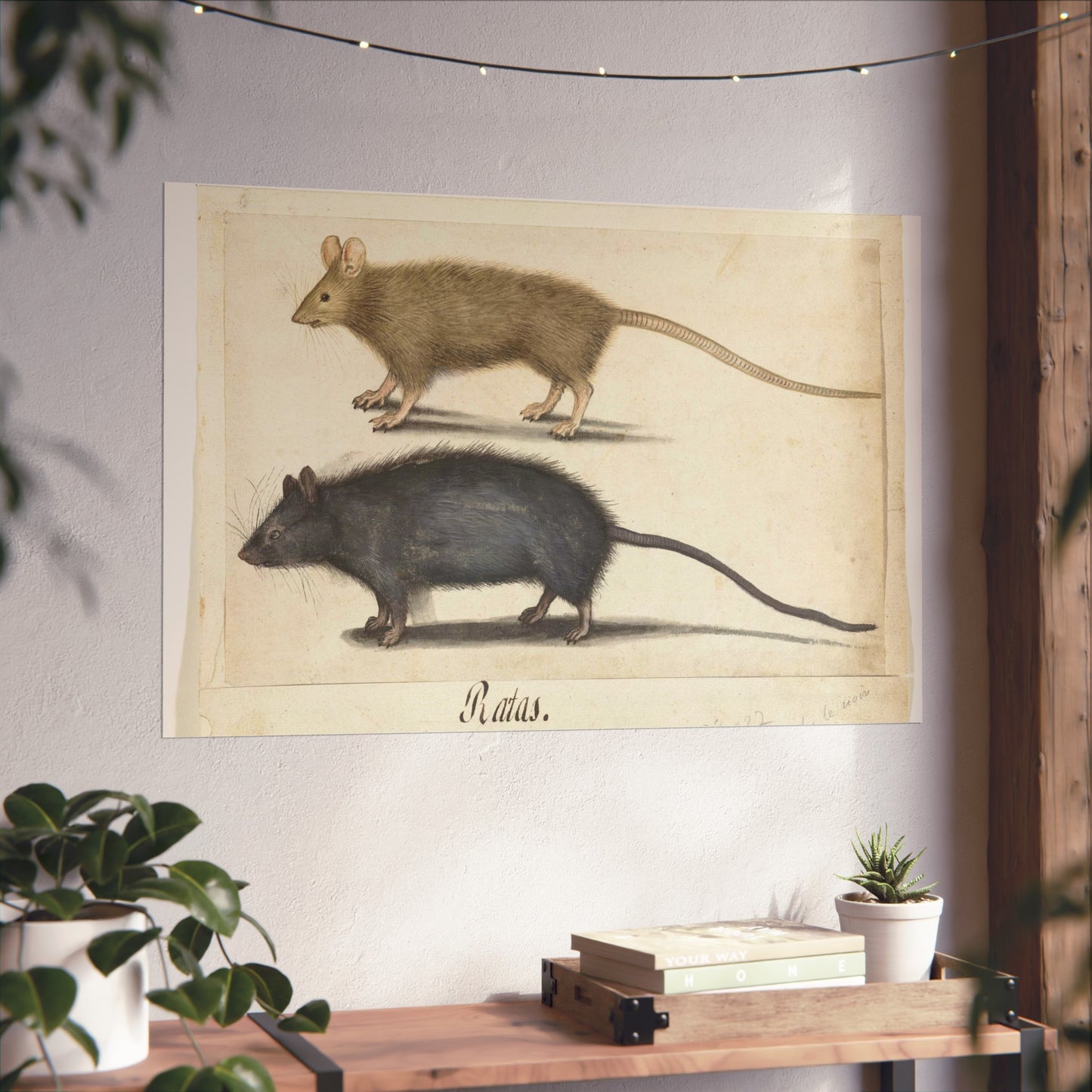 Mouse and Rat