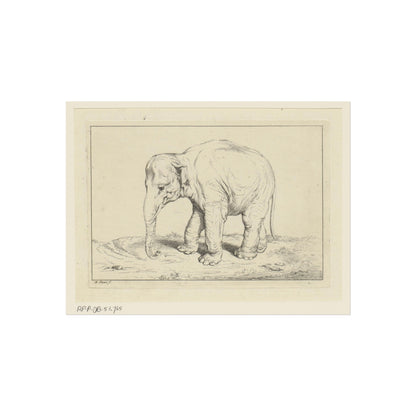 Landscape with Elephant