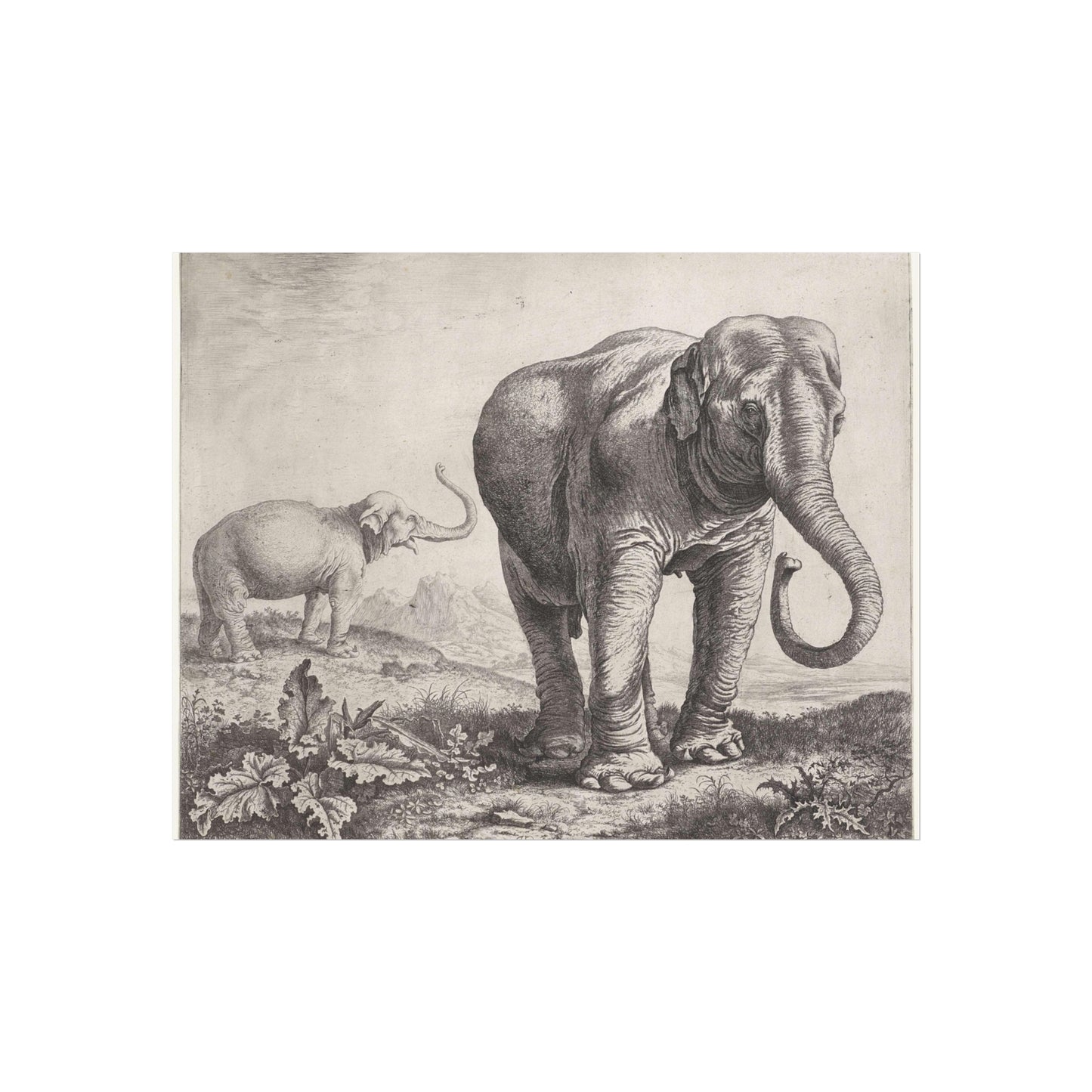 Two Elephants in a Landscape