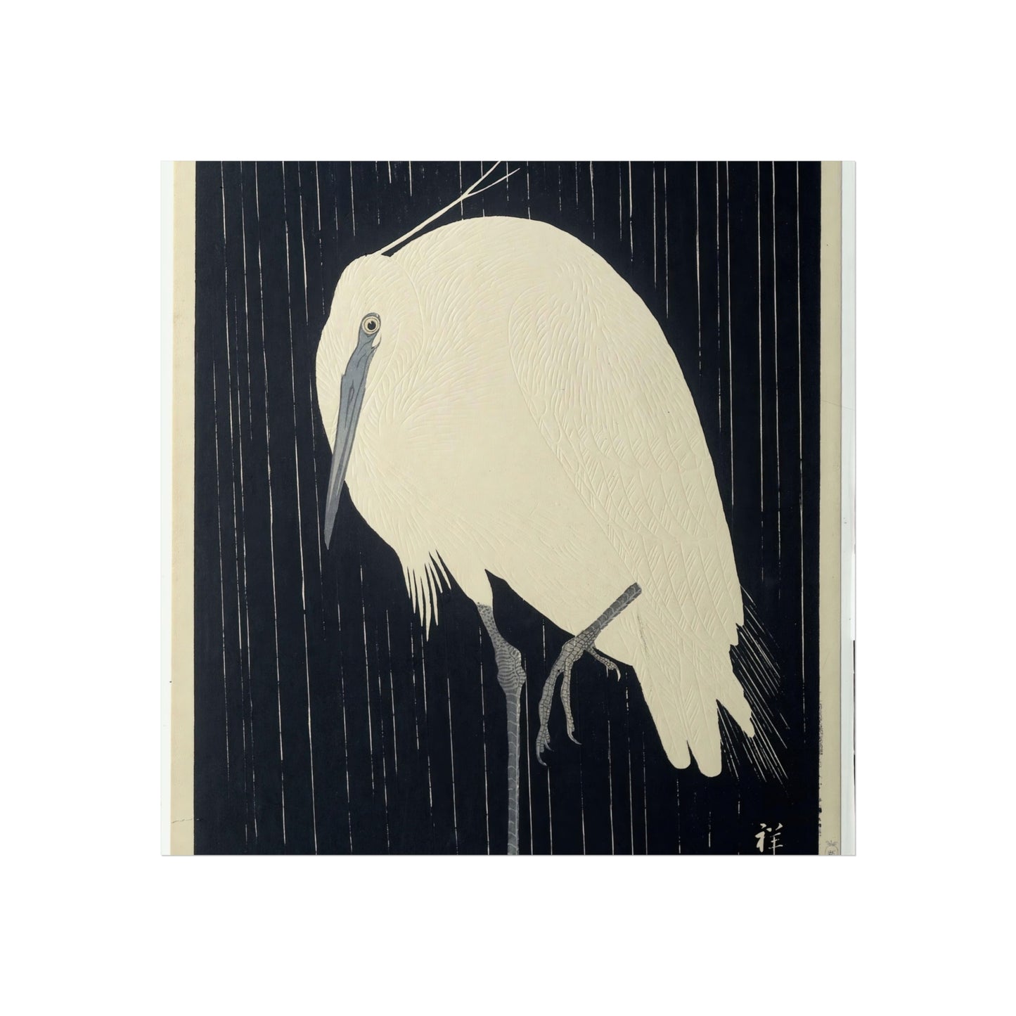 Great Egret in the Rain