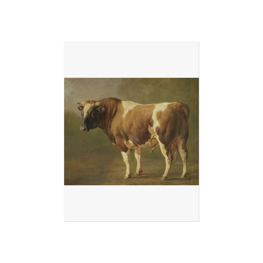 Study of a Bull, Standing to the Left