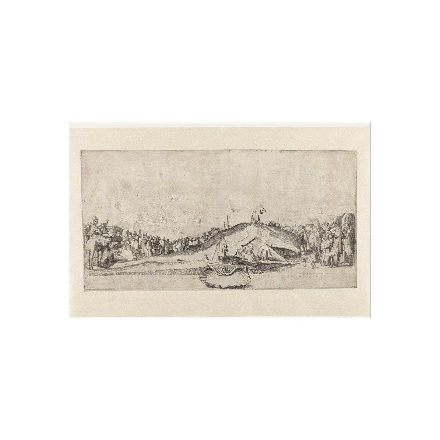 Beached Whale at Noordwijk on December 28, 1614