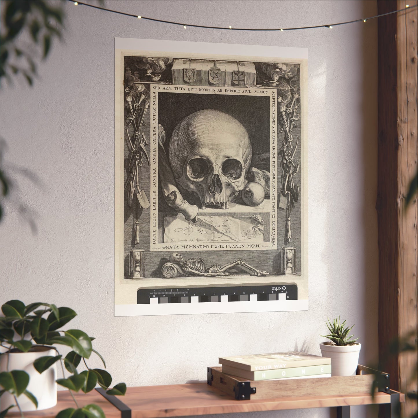 Vanitas Still Life with Skull