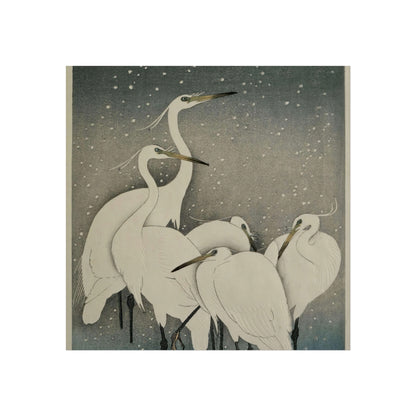 Group of Egrets