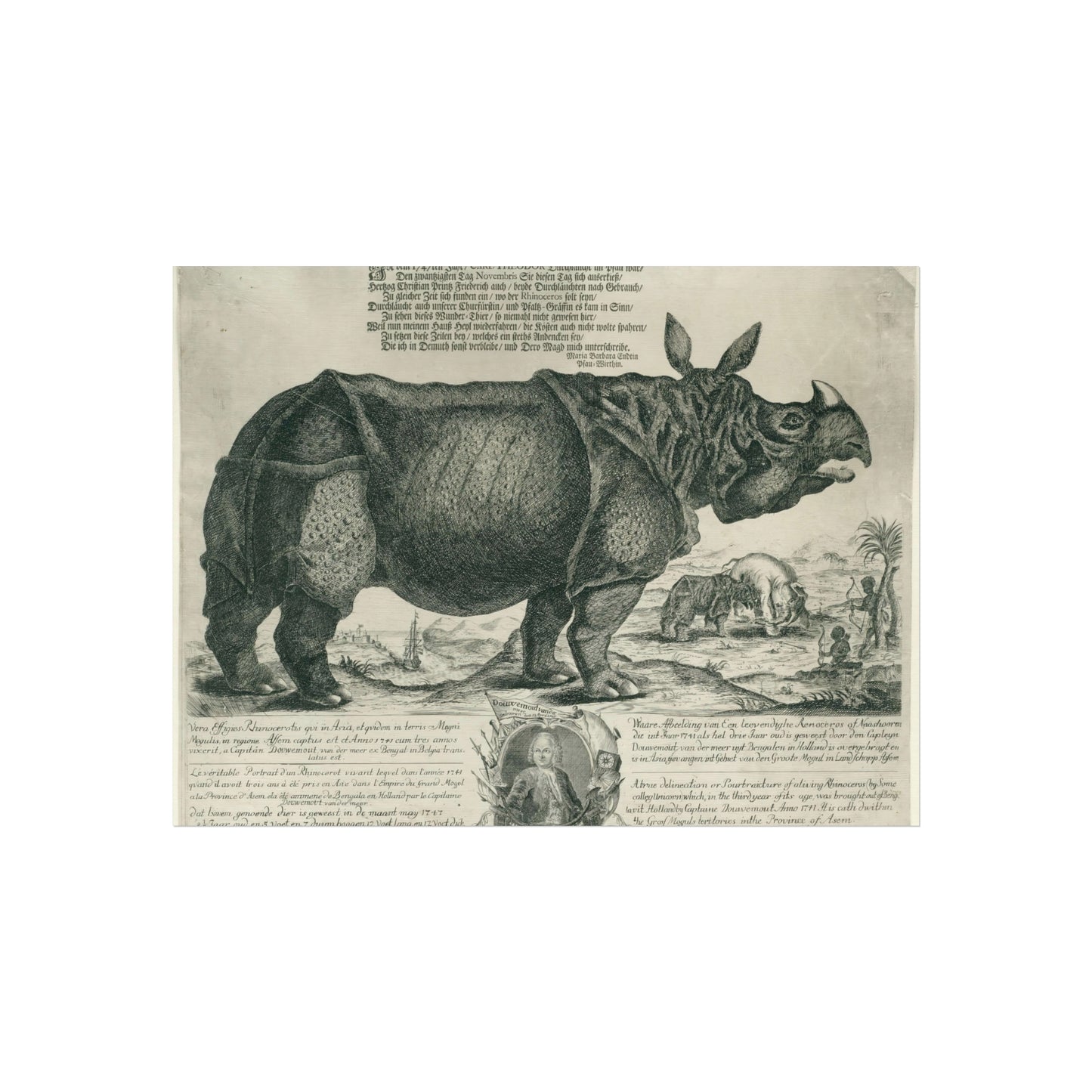 The Rhinoceros Clara - A Scene from Assam, 1741