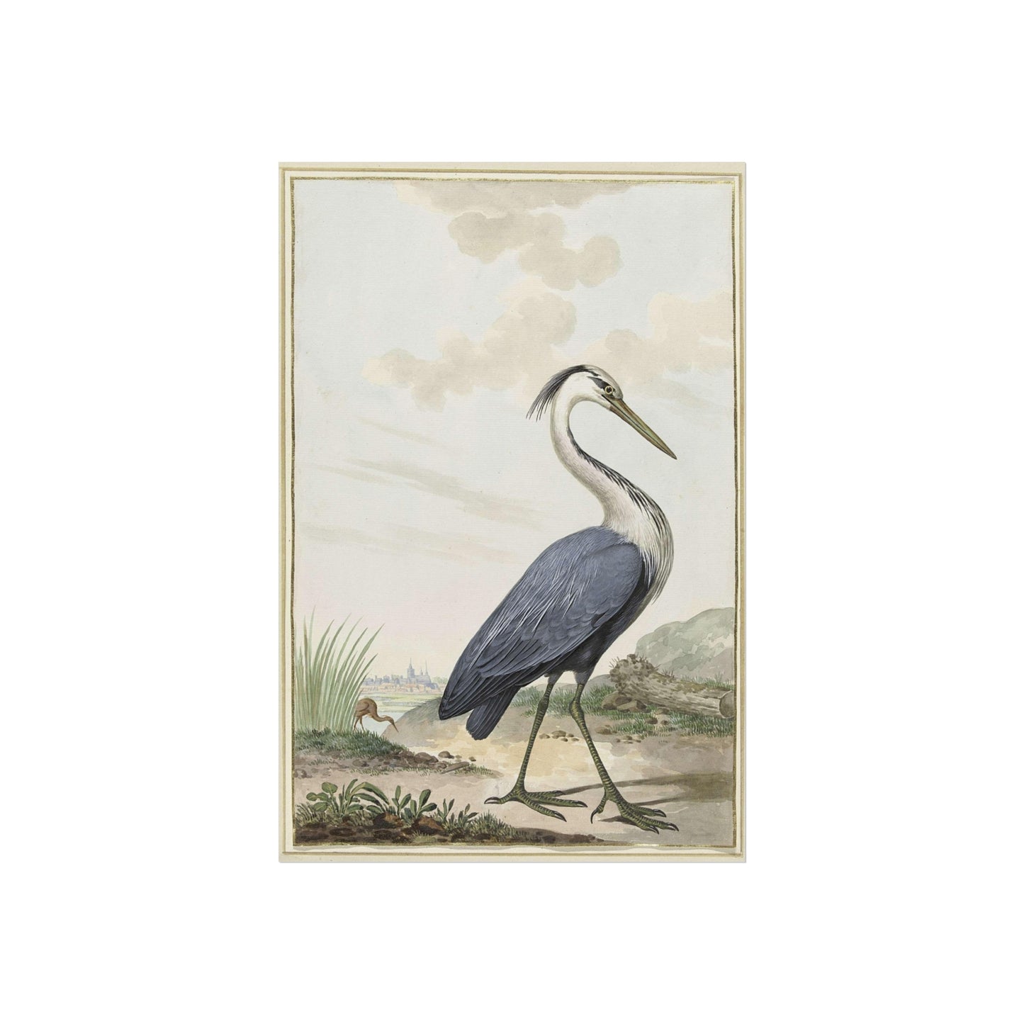 Blue Heron