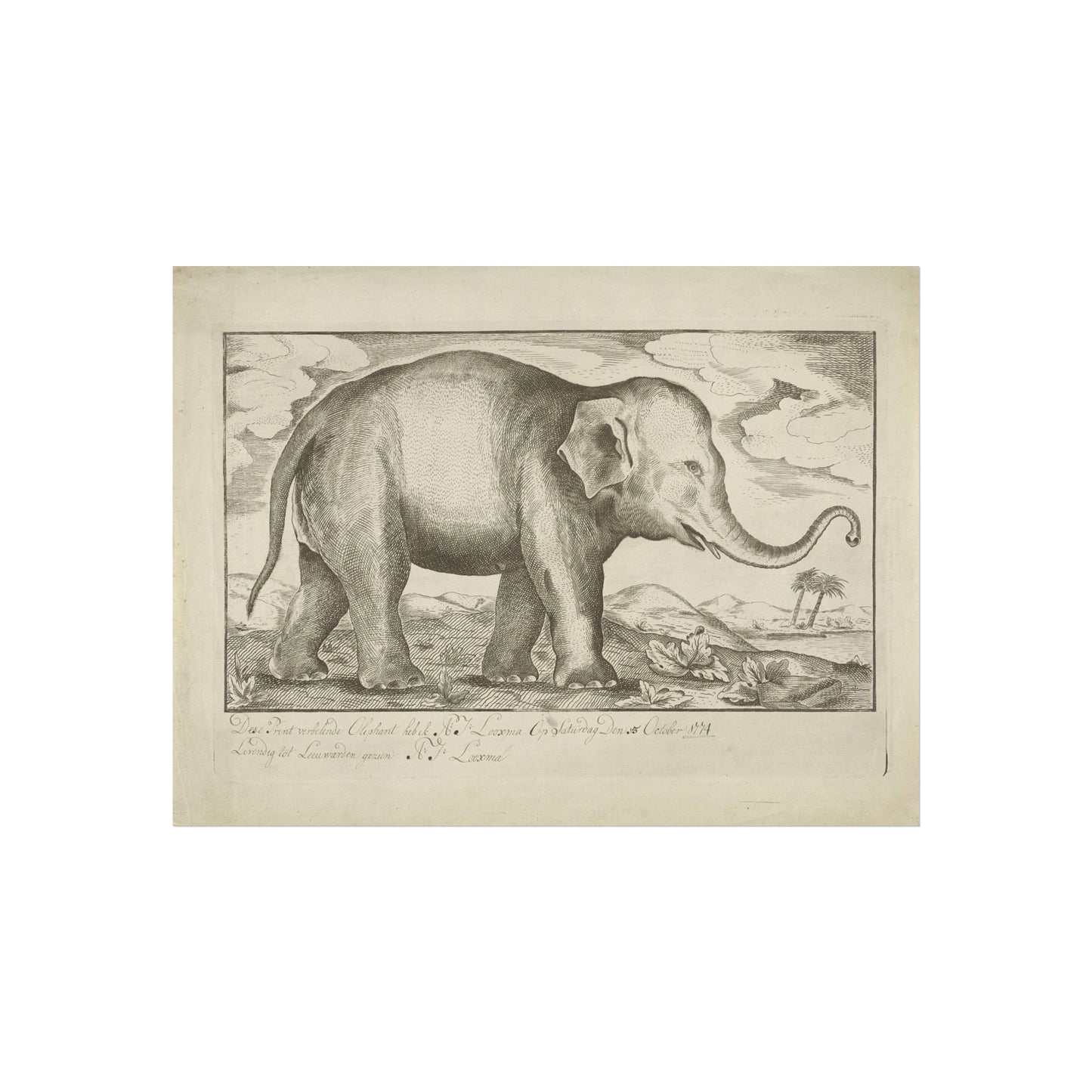 Elephant