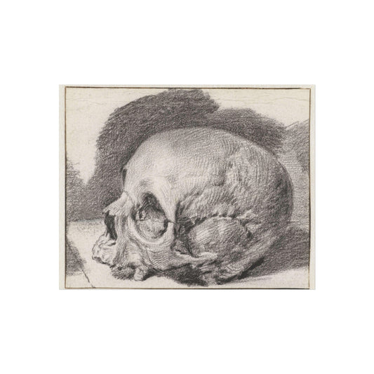 Study of a Skull, Facing Left