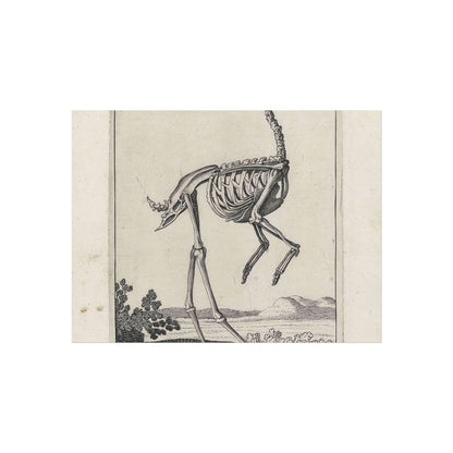 Skeleton of a Crow in a Landscape