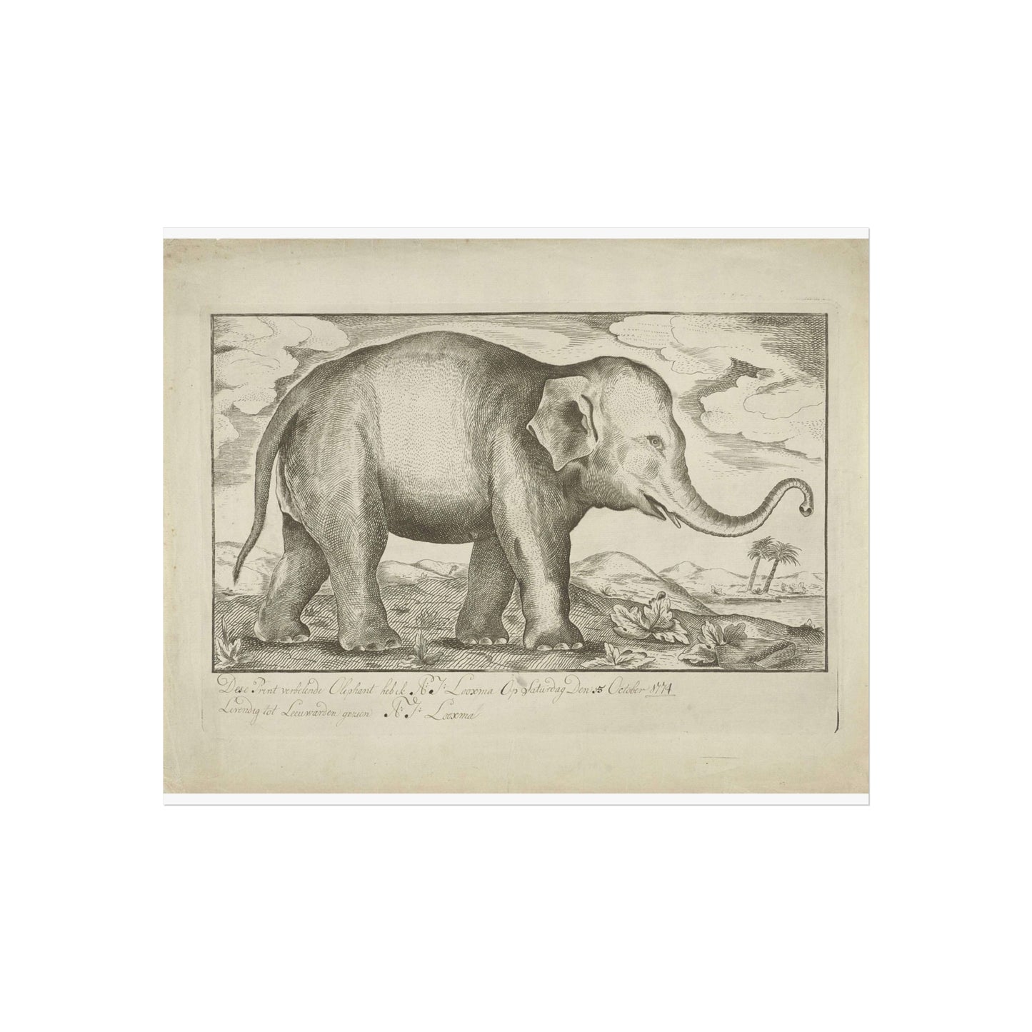 Elephant