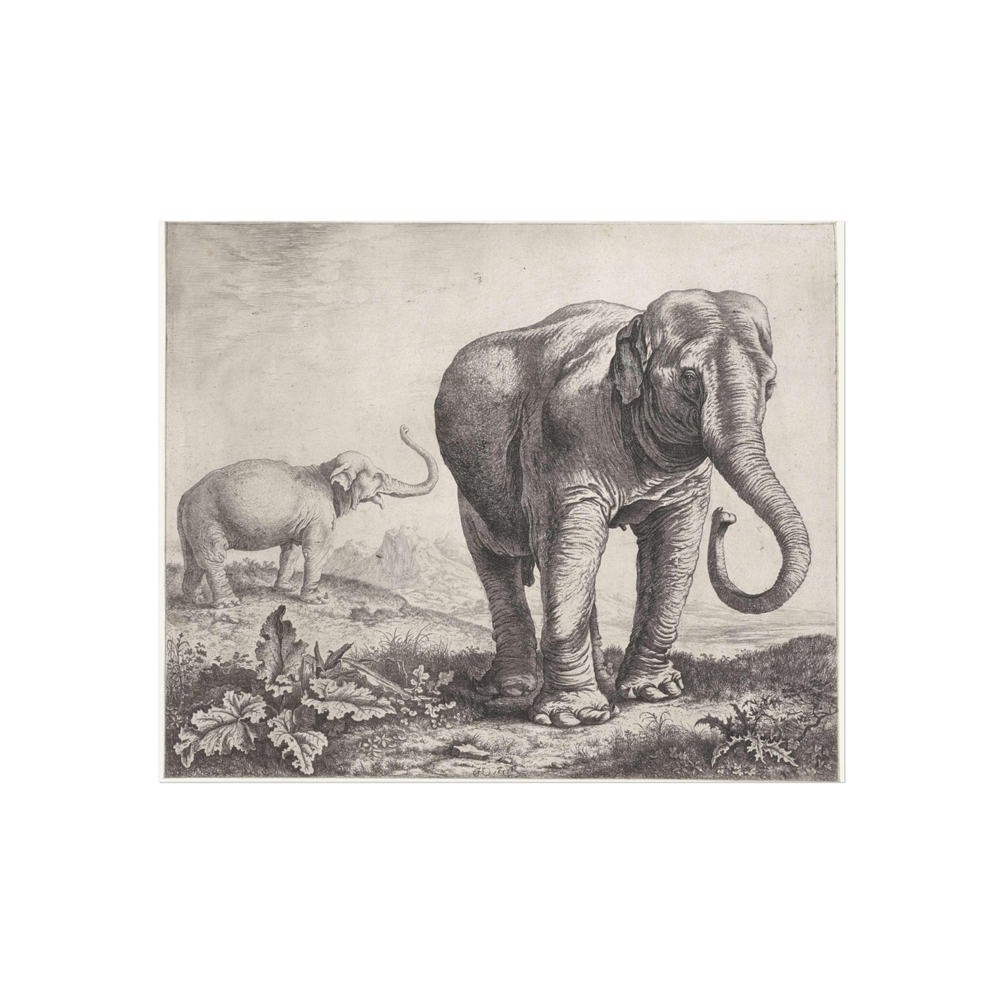 Two Elephants in a Landscape