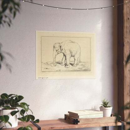 Landscape with Elephant