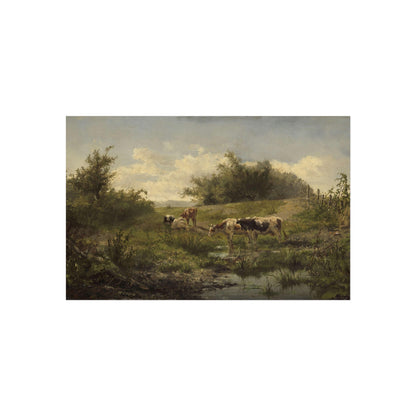 Cows at a Pond