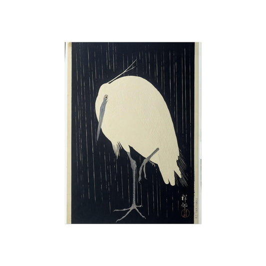 Great Egret in the Rain