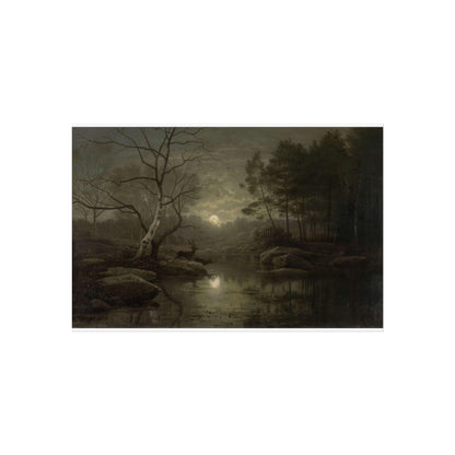 Forest Landscape in the Moonlight