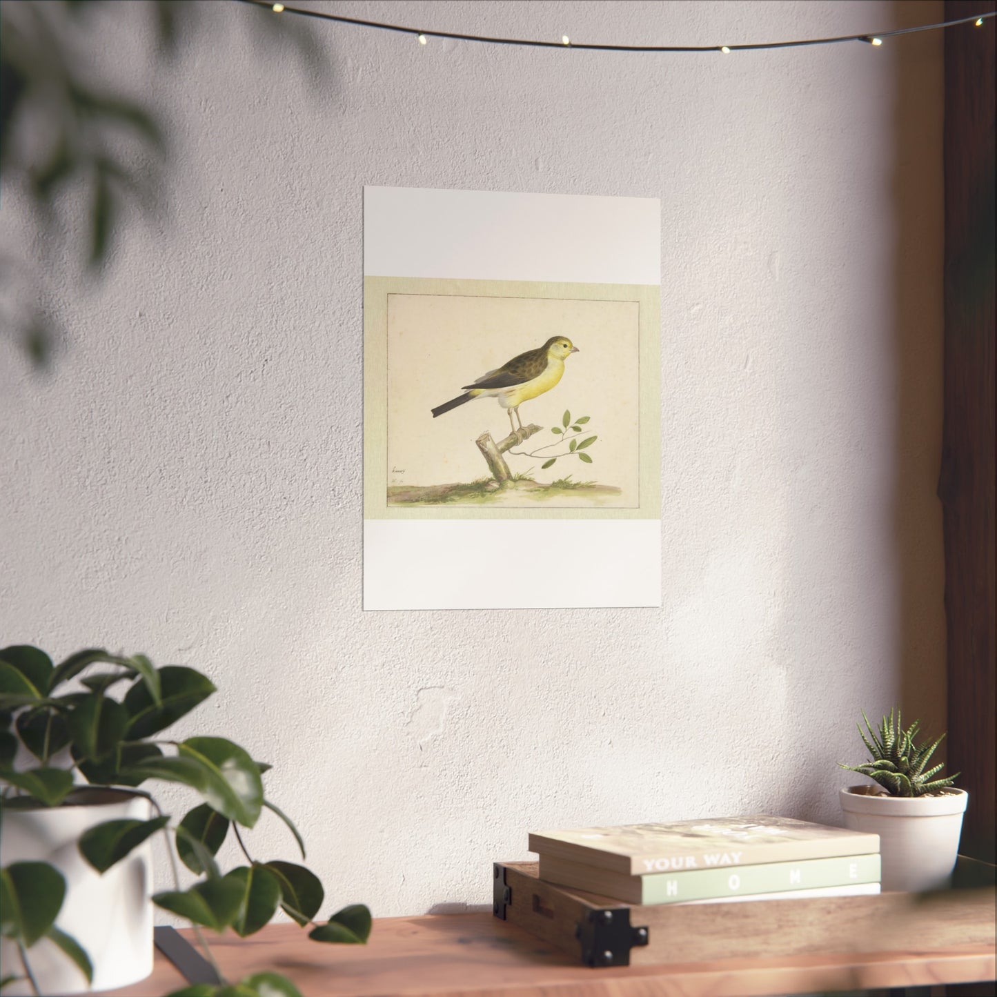 Wild Canary from the Canary Islands in Prince Maurits' Aviary