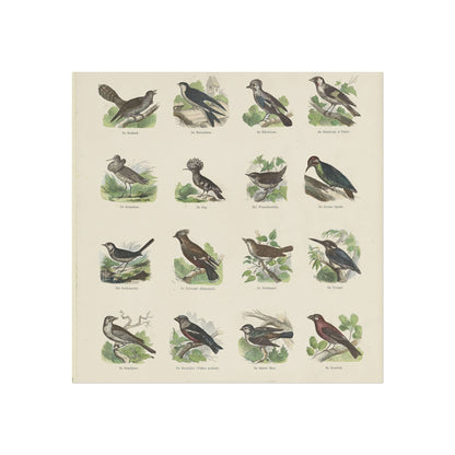 Sheet with 16 Bird Illustrations by Ernst Fröhlich