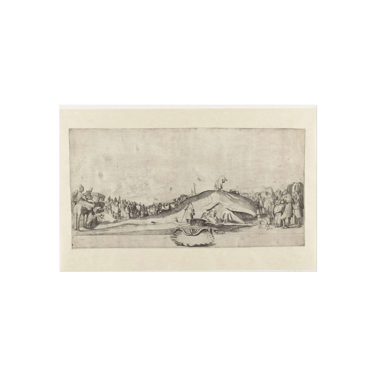 Whale Stranded at Noordwijk on December 28, 1614