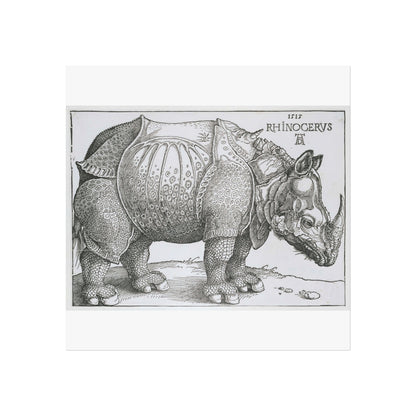 A Rhinoceros Seen from the Side