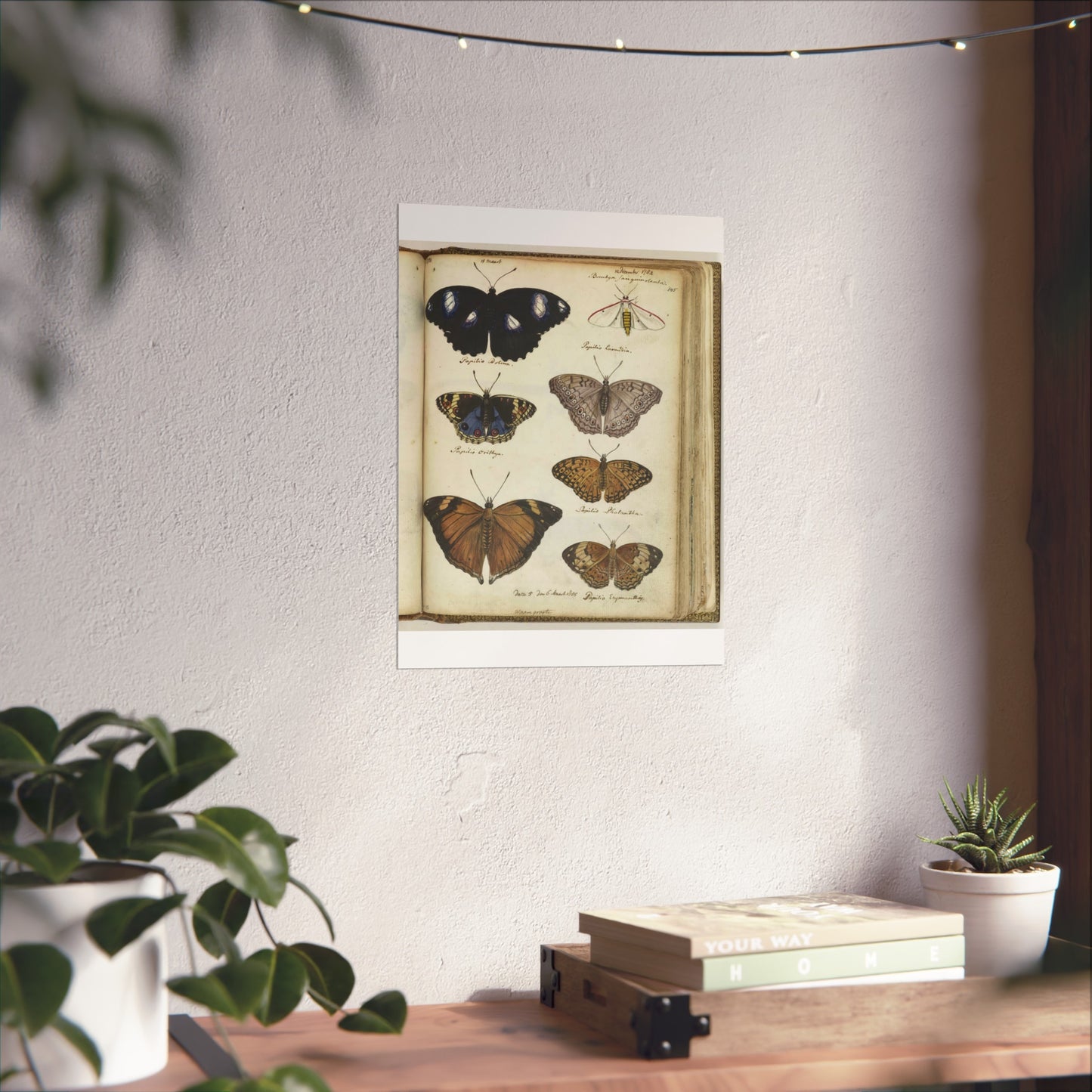 Color Illustration of Seven Javanese Butterflies and Moths